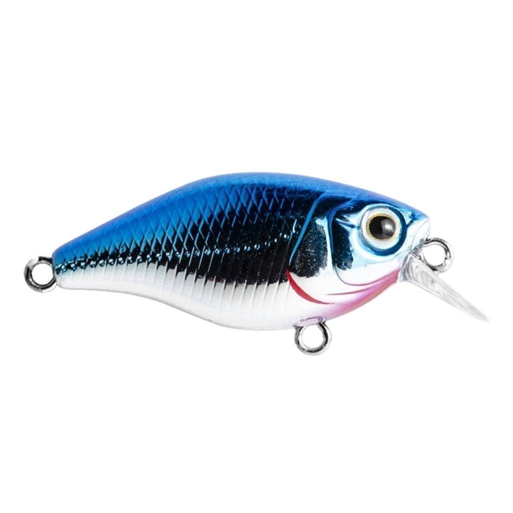 Mini Crank Marine Sports