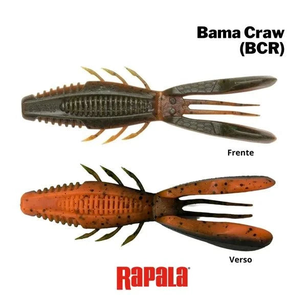 Rapala Crushcity Bronco Bug