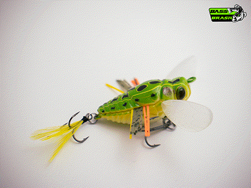 Duo Realis Shinmushi