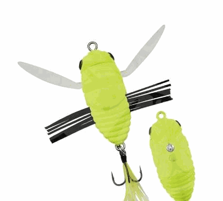 Duo Realis Shinmushi