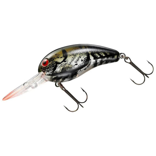 Daiwa Tiny Wild Peanut