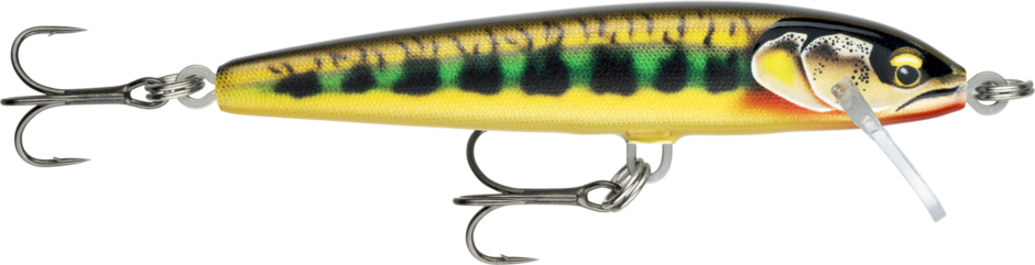 Isca Rapala Floater Elite 85
