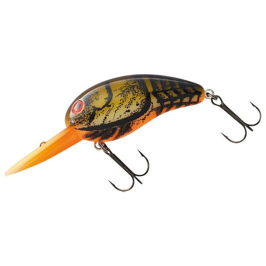 Daiwa Wild Peanut