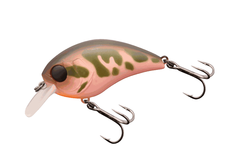 Jackall Mushbob 50MR