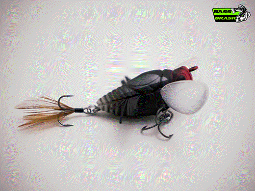 Duo Realis Shinmushi