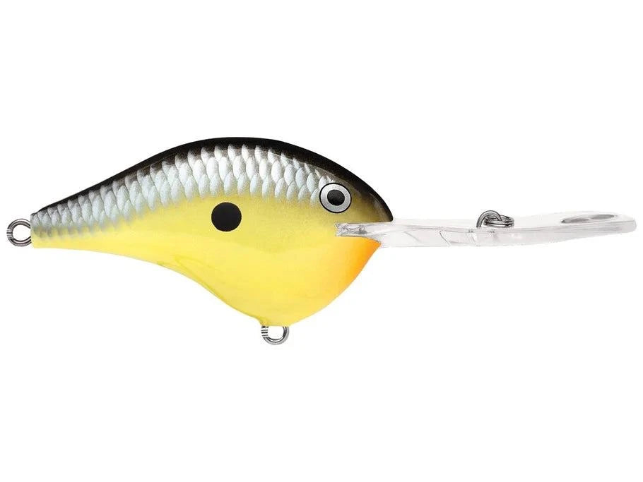 Rapala Dives DT-20