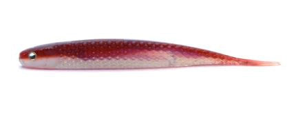 Raid Japan Super Fish Roller 5"