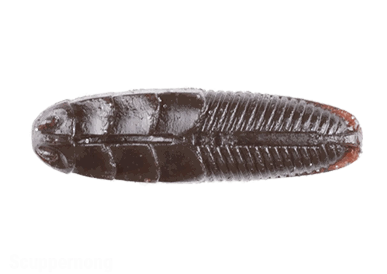 Jackall Jimmy Imo 2.0"