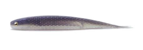 Raid Japan Super Fish Roller 5"